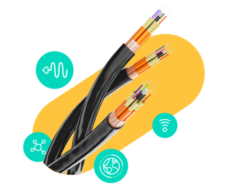 Network cable and icons