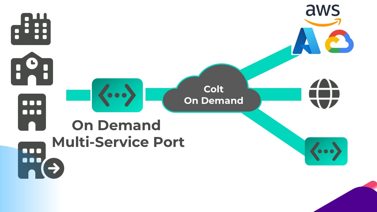 Multi service port