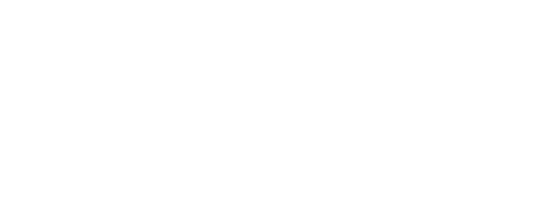 75_IFB_DigitalCinemaPartner_white 1